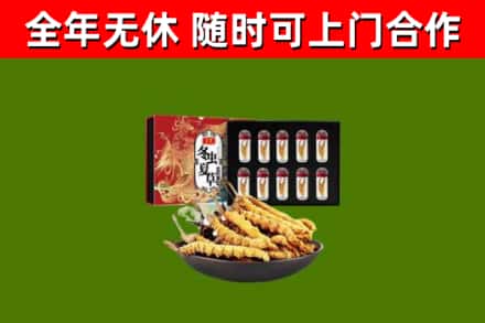 兴庆区回收冬虫夏草价格